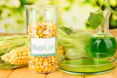 Blaengwrach biofuel availability