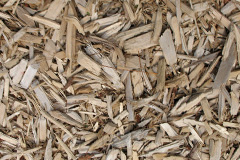 biomass boilers Blaengwrach